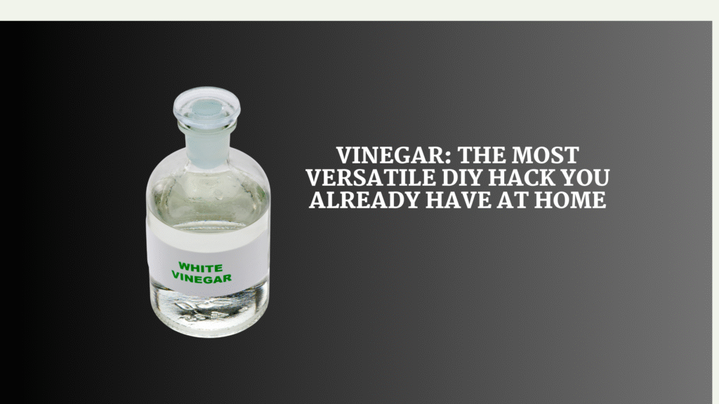 Vinegar: The Most Versatile DIY Hack You Already Have at Home vinegar diyhack